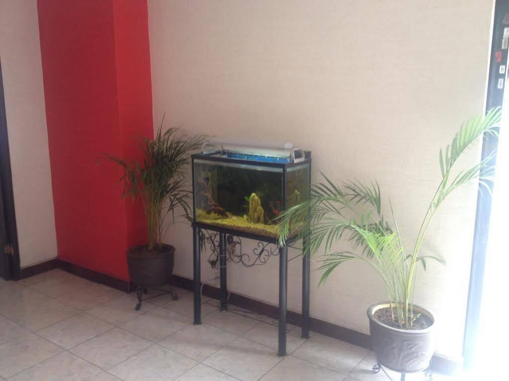 Hotel La Paz Guadalajara Ngoại thất bức ảnh